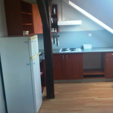 Slovanska Apartament Pilzno